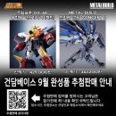 인포베이스주