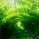 철정농장 이미지