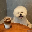 또오고 이미지