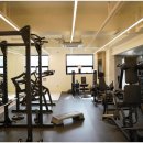 바디미라클 이미지