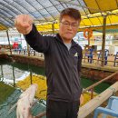 항구낚시터 이미지