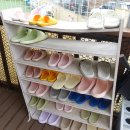 승민애견 이미지