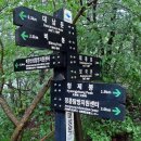 북한산 산성입구~대성문~청수동암문~비봉~포금정사지~장미공원(260620) 이미지