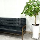 건강안마원 | 일산마사지 자세교정 건강드림안마원 솔직후기