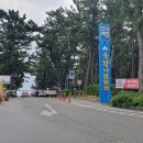 연곡해변 솔향기캠핑장 이미지