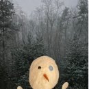 별일
