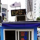 녹원수선