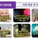 웰니스플러스 네이버블로그