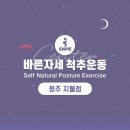 바른자세척추운동지웰점