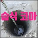 평택삼성어린이집 이미지