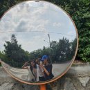 하하호호우리약국 이미지