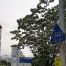 지하철역사 (지족역) 이미지