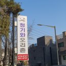 청기와오리촌 | 부천 역곡 맛집 청기와 오리촌 솔직 후기