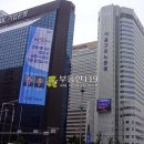장교동 중구 삼일대로 서울 Daum카페
