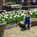 서운어린이집 이미지