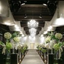 웨스턴베니비스 이미지