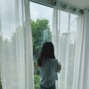 청수리빌레왓 이미지