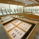 경희대학교 중앙박물관 이미지