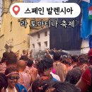 한마음토마토 | 스페인 토마토 축제 '라 토마티나 축제'의 모든 것/티켓 예매 방법 및 가격, 준비물 및 락커룸, 후기