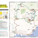 멍머니 | 2026 서귀포 유채꽃 국제걷기대회 사전신청 및 코스 총정리 및 후기