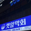 깻잎막회 | 창원 상남동 술집 추천, 한잔하기 좋았던 제철 숙성 막회 전문점 깻잎 막회 후기