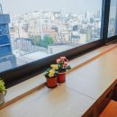 이든약국 이미지