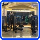 짐나빌레라 이미지