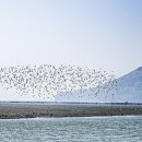 부리흑염소목장 이미지