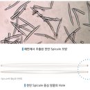 유부꼬맹
