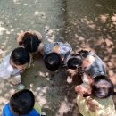 도레미어린이집 | 전라남도 순천시 조례동 도레미어린이집을 소개합니다