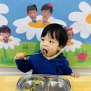 원장님표 달래냉이전💚 이미지
