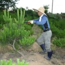 해순농장 이미지