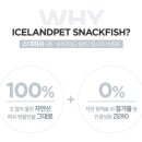 도그스낵 이미지