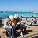 함덕스쿠버다이빙 이미지