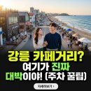 터미널관광안내센터 | ✨강릉 카페거리☕☕️ 지금 안 가면 후회! 현지인만 아는 꿀팁 7가지 대공개!