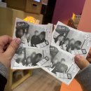 강남-134 | #134 [강남 방탈출 플레이더월드 강남점 : 먹루마블(3.9/5) 모두의 마블 음식편 같앙]