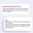 무엇이든 물어보세요 '편두통' ＜4＞ 이미지