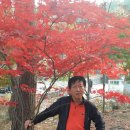 대둔산장 이미지