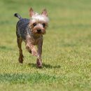 장군펜션 이미지