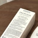 목련헤어라인 이미지