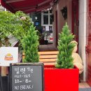 [마포구] 분위기 좋은 망원 브런치 맛집 빌렛 후기