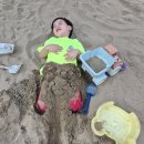 참아동어린이집 | 육아맘 공부! 아동심리상담사 자격증 한국직업능력진흥원 무료로 취득해본 후기