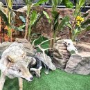 당항포관광지 이미지