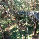 안면도 풀하우스 펜션 이미지