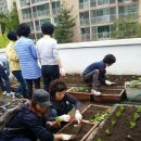 행당2동 주민센터 이미지