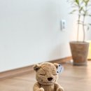 아라요가원