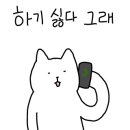 평화오토 이미지