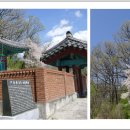 청송심씨 묘역 이미지