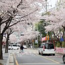 양재천 진입로 인근 이미지