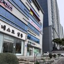 신규동물병원 | 광주동물병원 추천)화정동 신규오픈 리본동물병원